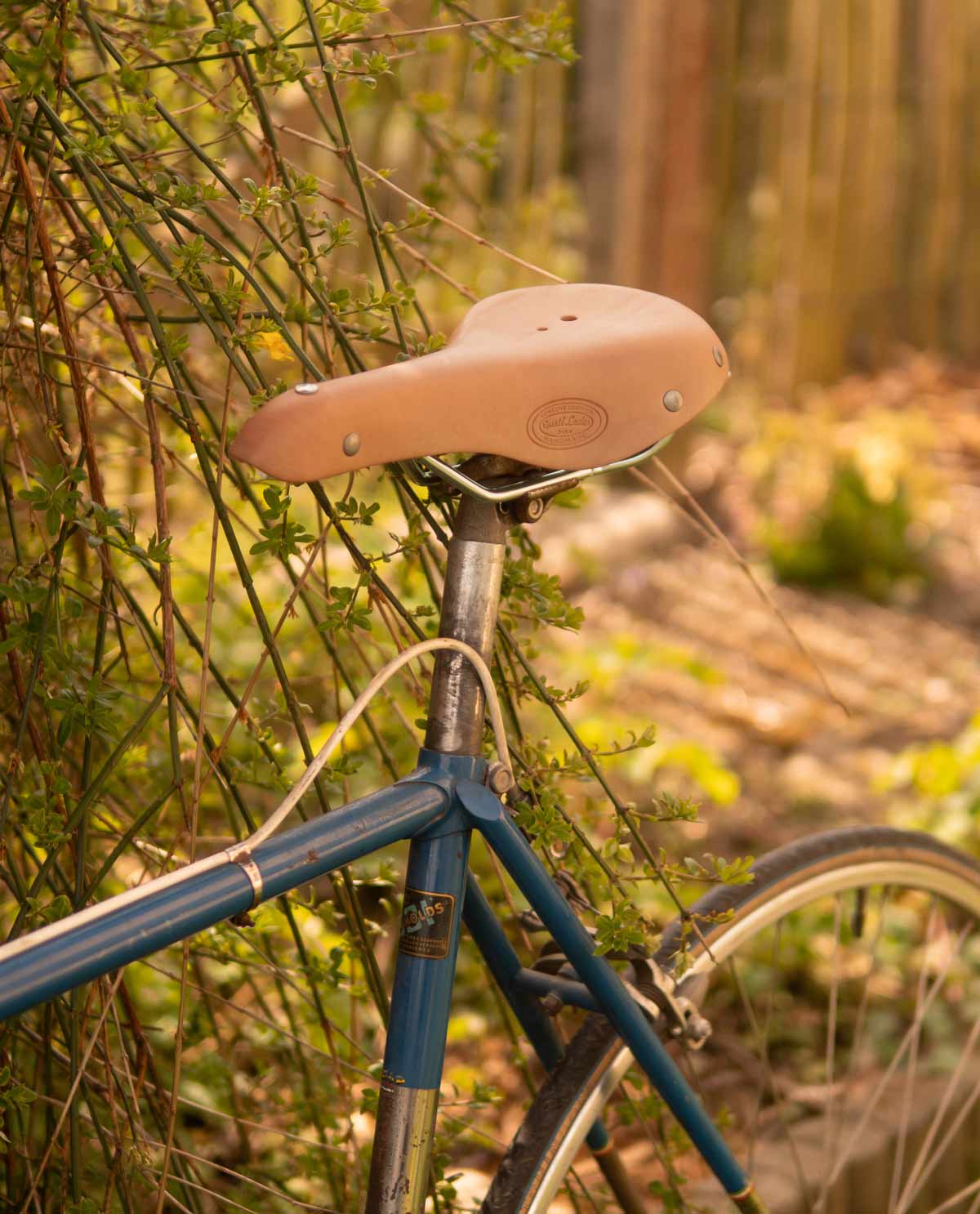Louison B. model